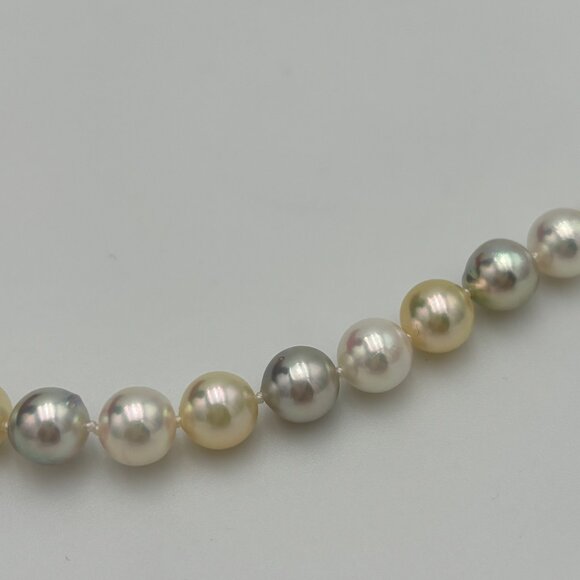 Akoya Pearl Necklace - Picture 3 of 3